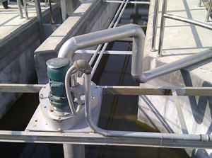 ������ɰ��