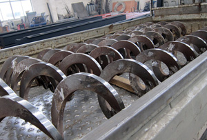 ��������ҶƬ