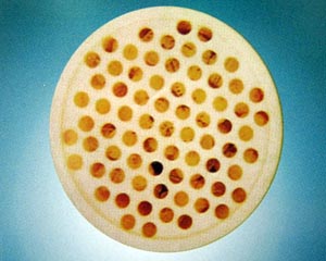 160��̬������